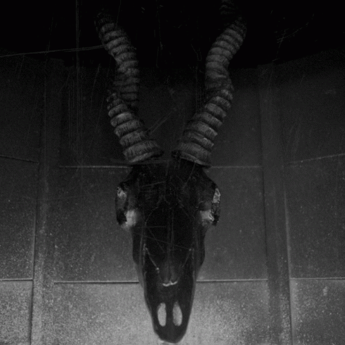 Adamah : Worship or Bleed